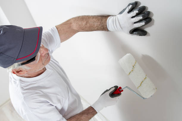Best Mold Documentation for Insurance Claims  in Greendale, IN