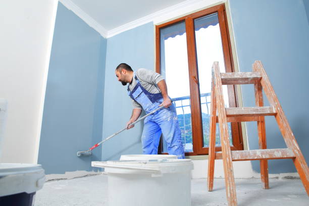 Best Mold Damage Restoration  in Greendale, IN