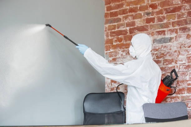 Best Forensic Mold Investigation  in Greendale, IN