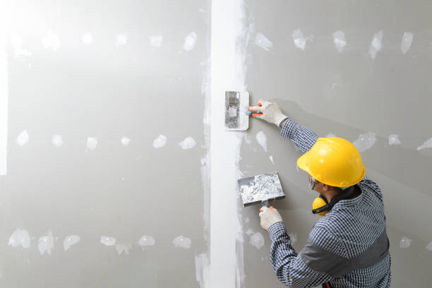 Best Emergency Mold Remediation  in Greendale, IN