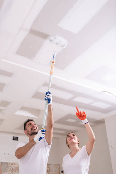 Best Basement Mold Removal  in Greendale, IN