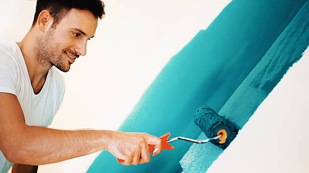 Best Crawl Space Mold Remediation  in Greendale, IN